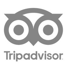 TRIP ADVISOR12